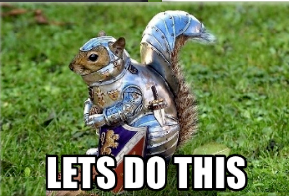 Let's do this squirrel meme.